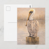 Haven Pelikaan | Kust Wilde Kunst | Postkaart (Voorkant / Achterkant)