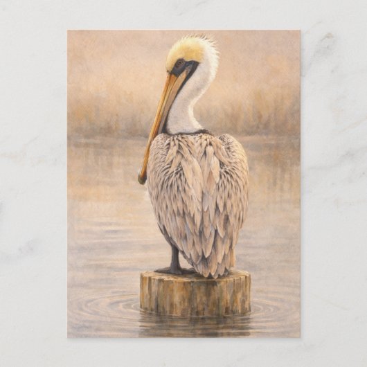Haven Pelikaan | Kust Wilde Kunst | Postkaart (Voorkant)