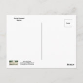 Haven van Cozumel Mexico Briefkaart (Achterkant)