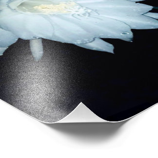 Haven van de mozaïekwieg foto afdruk