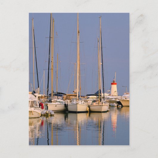 Haven van Hyères les Palmiers Briefkaart (Voorkant)