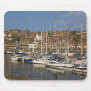 Haven, Whitby, North Yorkshire, Engeland Muismat