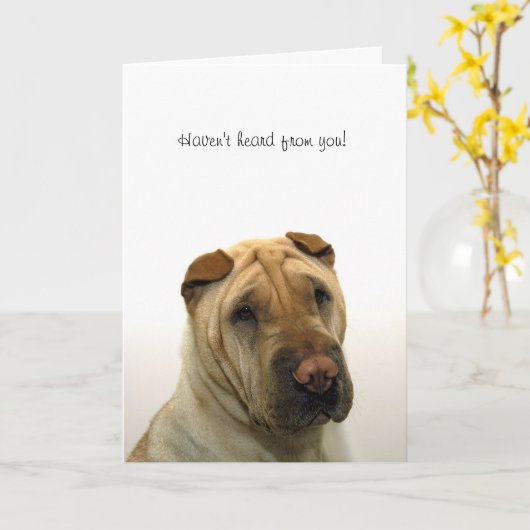 Haven't heard from you kaart (Gele Bloem)