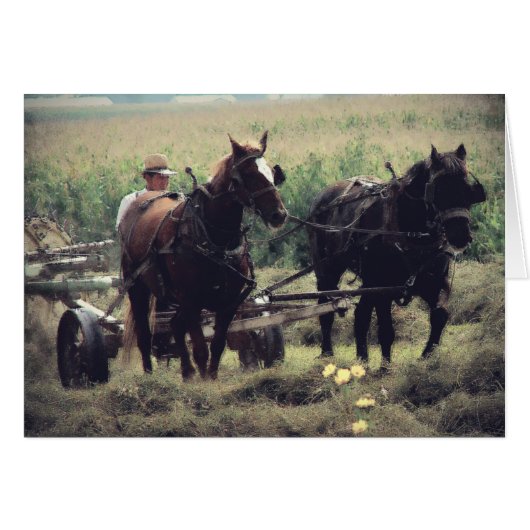 Haventijd (Voorkant Horizontaal)