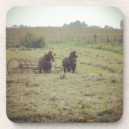 Haventijd Bier Onderzetter (Voorkant)