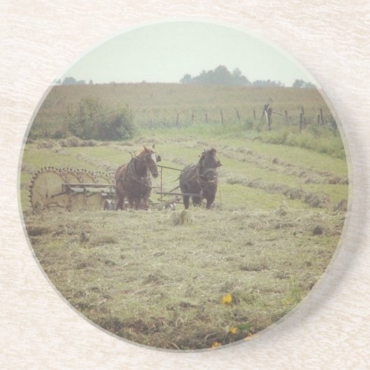 Haventijd Zandsteen Onderzetter (Voorkant)