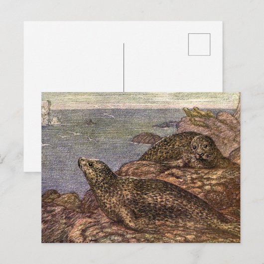  havenzegels, zeedieren voor het leven in de zee briefkaart (Voorkant / Achterkant)