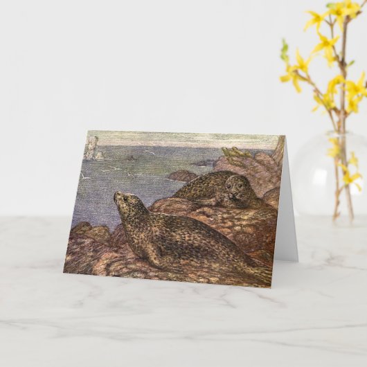 havenzegels, zeedieren voor het leven in de zee kaart (Gele Bloem)