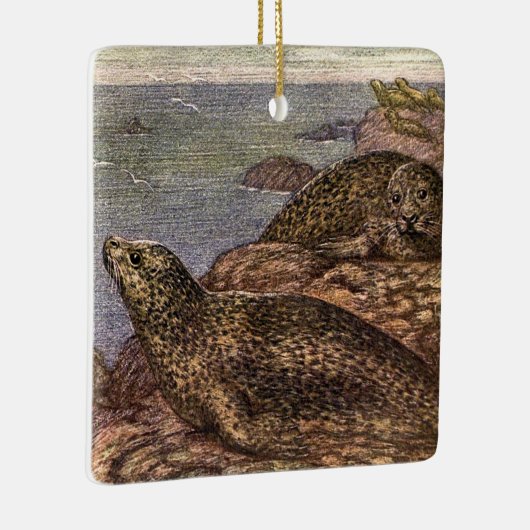  havenzegels, zeedieren voor het leven in de zee keramisch ornament (Rechts)