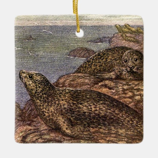  havenzegels, zeedieren voor het leven in de zee keramisch ornament (Voorkant)