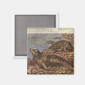 havenzegels, zeedieren voor het leven in de zee magneet (Voorkant / Achterkant)