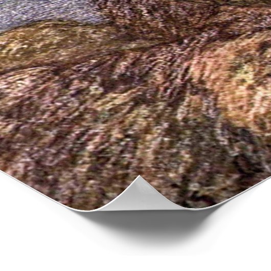  havenzegels, zeedieren voor het leven in de zee poster (Hoek)