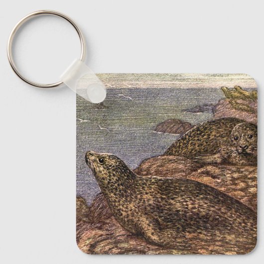  havenzegels, zeedieren voor het leven in de zee sleutelhanger (Voorkant)