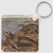  havenzegels, zeedieren voor het leven in de zee sleutelhanger (Achterkant)