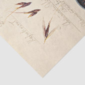 Haver, 1920, van Hilma af Klint Tissuepapier (Detail)