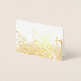 Haver in de zon folie kaarten