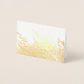 Haver in de zon folie kaarten (Voorkant)