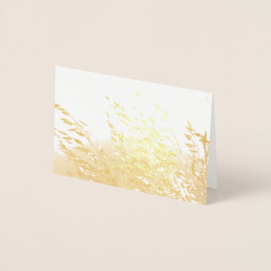 Haver in de zon folie kaarten (Voorkant)