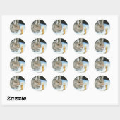 haverklap 20 ticker ronde sticker (Vel)
