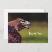 Havik bedankkaart briefkaart (Voorkant / Achterkant)