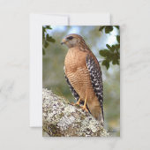 Havik kaart Natuur notitiekaart (Voorkant)