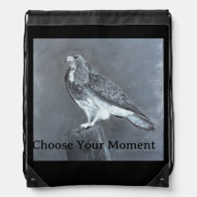 Havik - Kies Je Moment