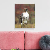 Havik op Canvas Afdruk (Insitu (Woonkamer))