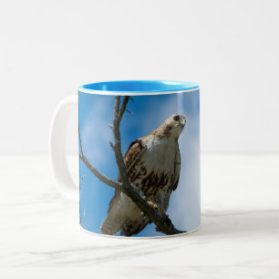 Havik op de jacht Blauwe 11 oz Twee-Tons Mok