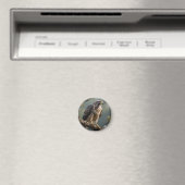 Havik op tak magneet (Insitu (Vaatwasser))
