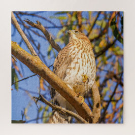 Havik Puzzel | Wilde Dieren Roofvogel Natuur Kunst