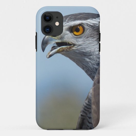 Havik schreeuwt Case-Mate iPhone case (Achterkant)