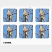 havik, vogeltje, prooivogel, kuiperhavik, natuur vierkante sticker (Vel)