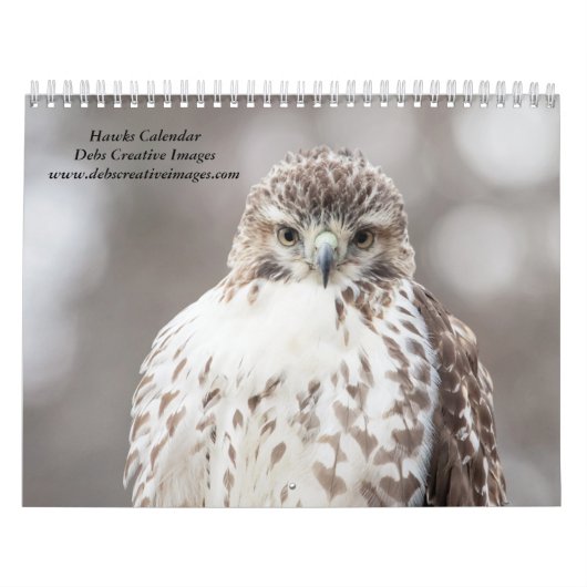 Haviken in het wild 2026 kalender (Hoes)