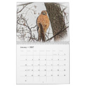 Haviken in het wild 2026 kalender (Jan 2027)