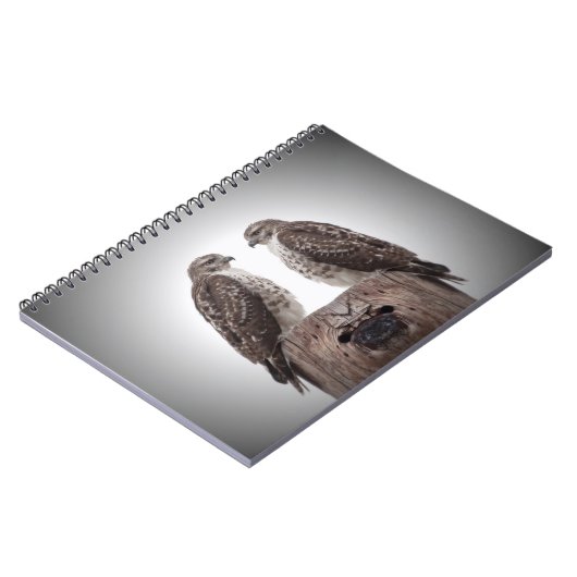 Haviken op een paal notitieboek (Linkerzijde)