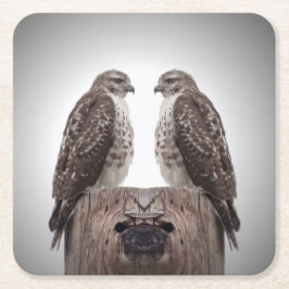 Haviken op een post kartonnen onderzetters