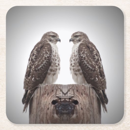 Haviken op een post kartonnen onderzetters (Voorkant)