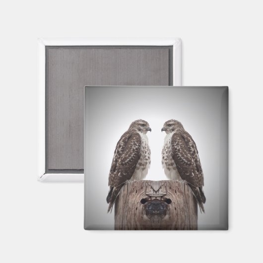 Haviken op een post magneet (Voorkant / Achterkant)