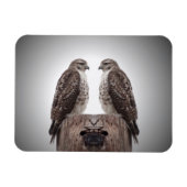 Haviken op een post magneet (Horizontaal)