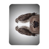 Haviken op een post magneet (Verticaal)