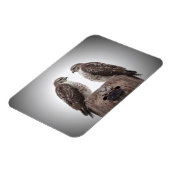 Haviken op een post magneet (Linkerzijde)