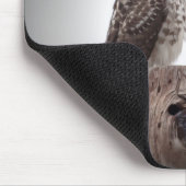 Haviken op een post muismat (Hoek)