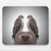 Haviken op een post muismat (Voorkant)