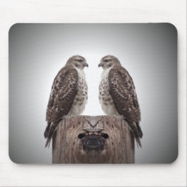 Haviken op een post muismat