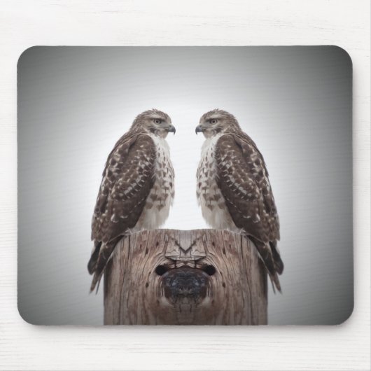 Haviken op een post muismat (Voorkant)