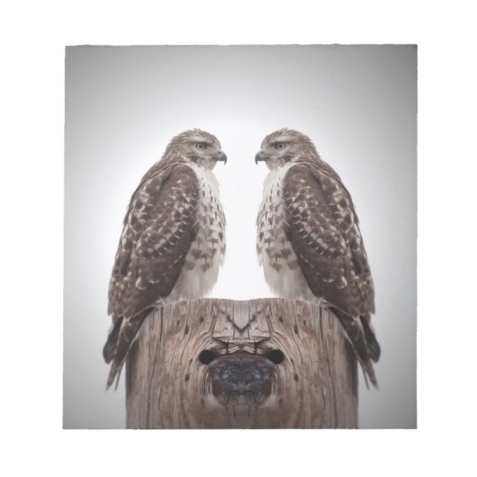 Haviken op een post notitieblok (Voorkant)