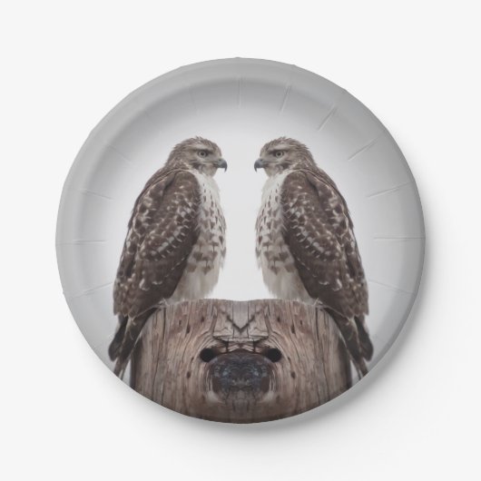 Haviken op een post papieren bordje (Voorkant)