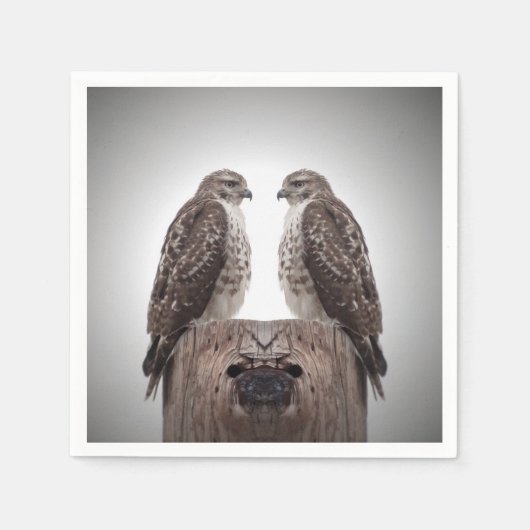 Haviken op een post servetten (Voorkant)