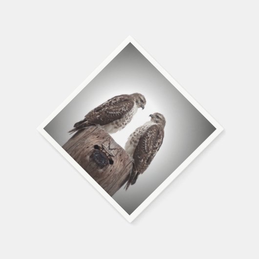 Haviken op een post servetten (Hoek)