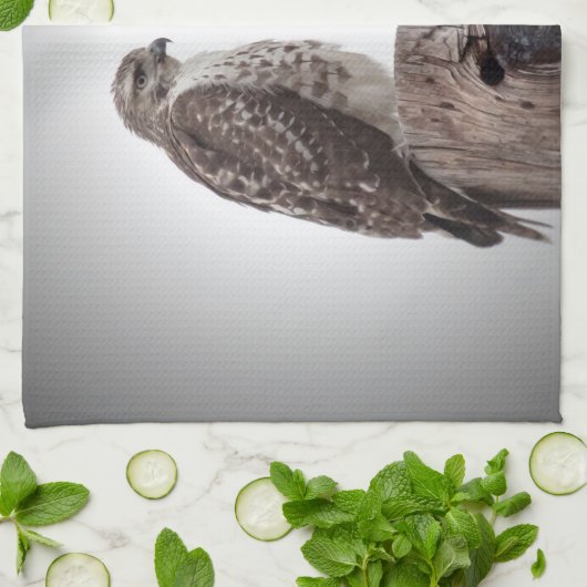 Haviken op een post theedoek (Gevouwen)